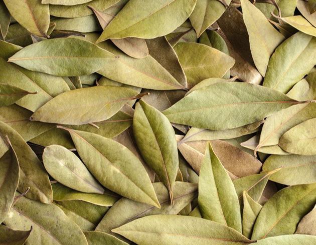 bay leaves