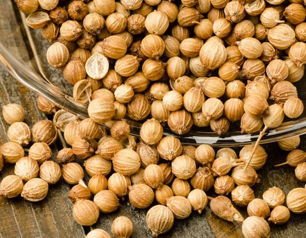 Coriander Seeds