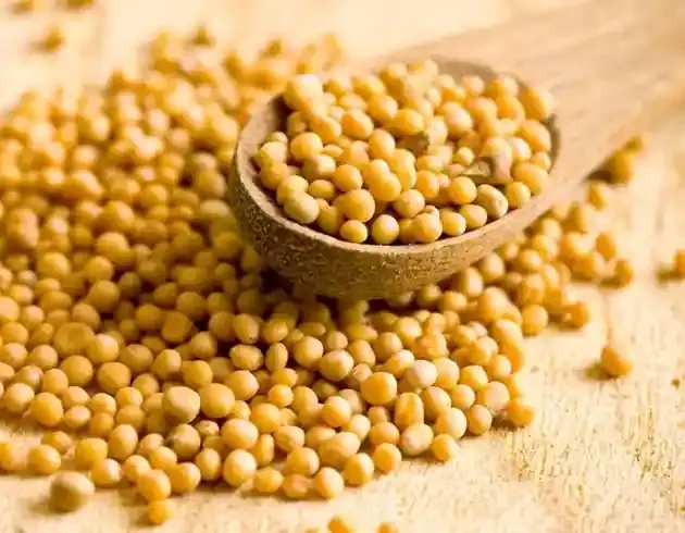 Mustard Seeds