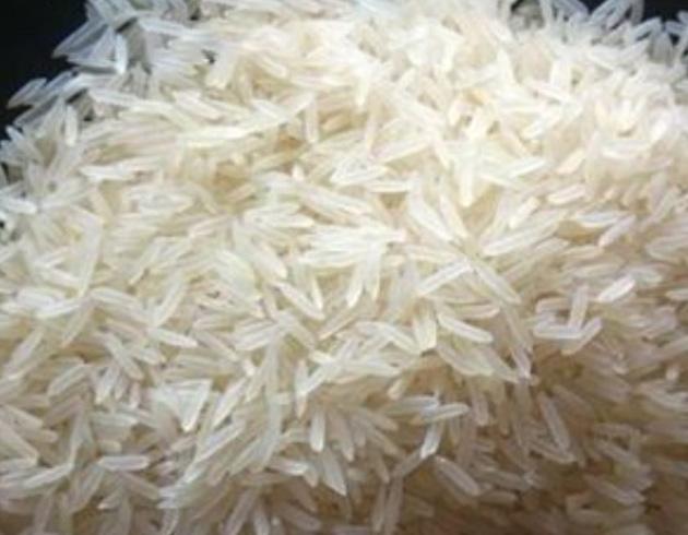 Sugandha White Sella